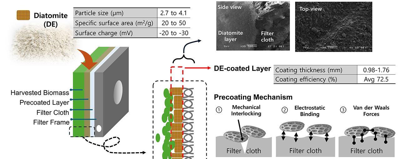 연구 논문 관련 사진