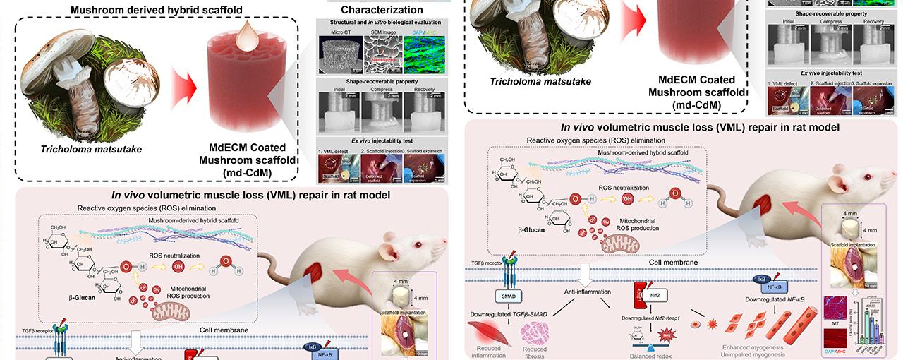논문 관련 내용